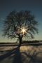 Winterspaziergang by Uschi Baier Fotografie