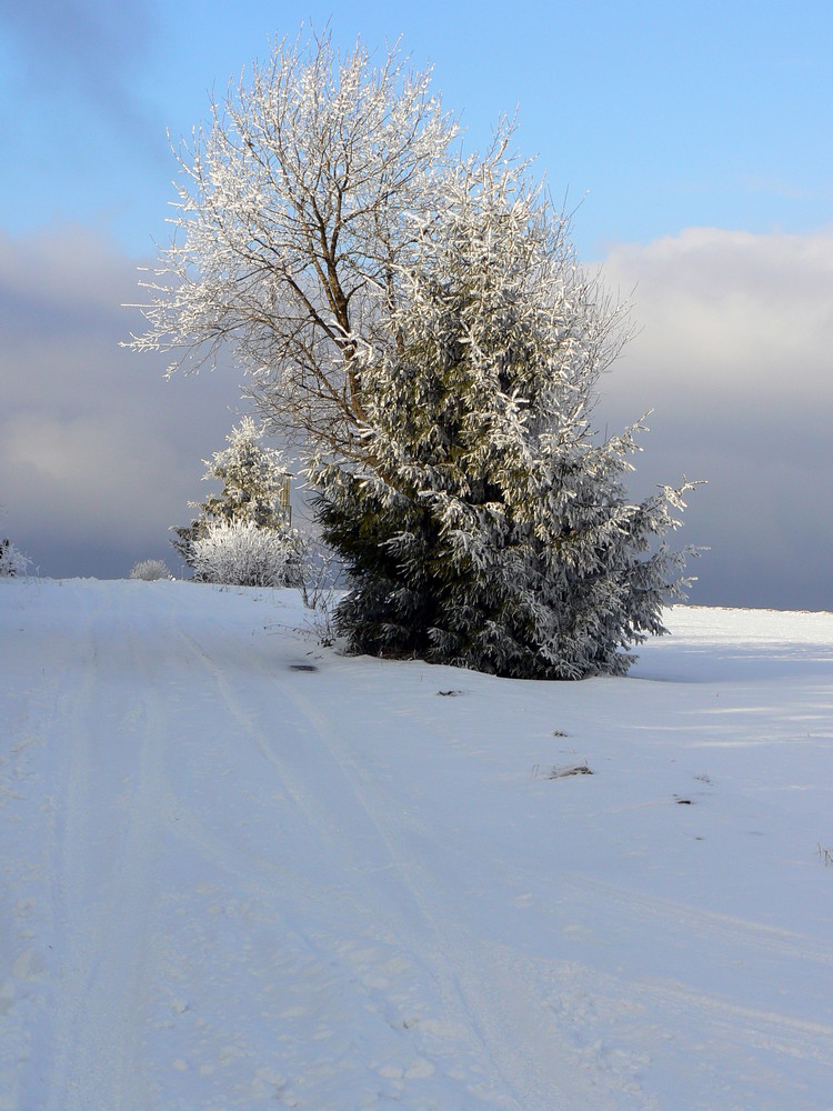 Winterspaziergang