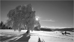 Winterspaziergang