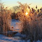 Winterspaziergang