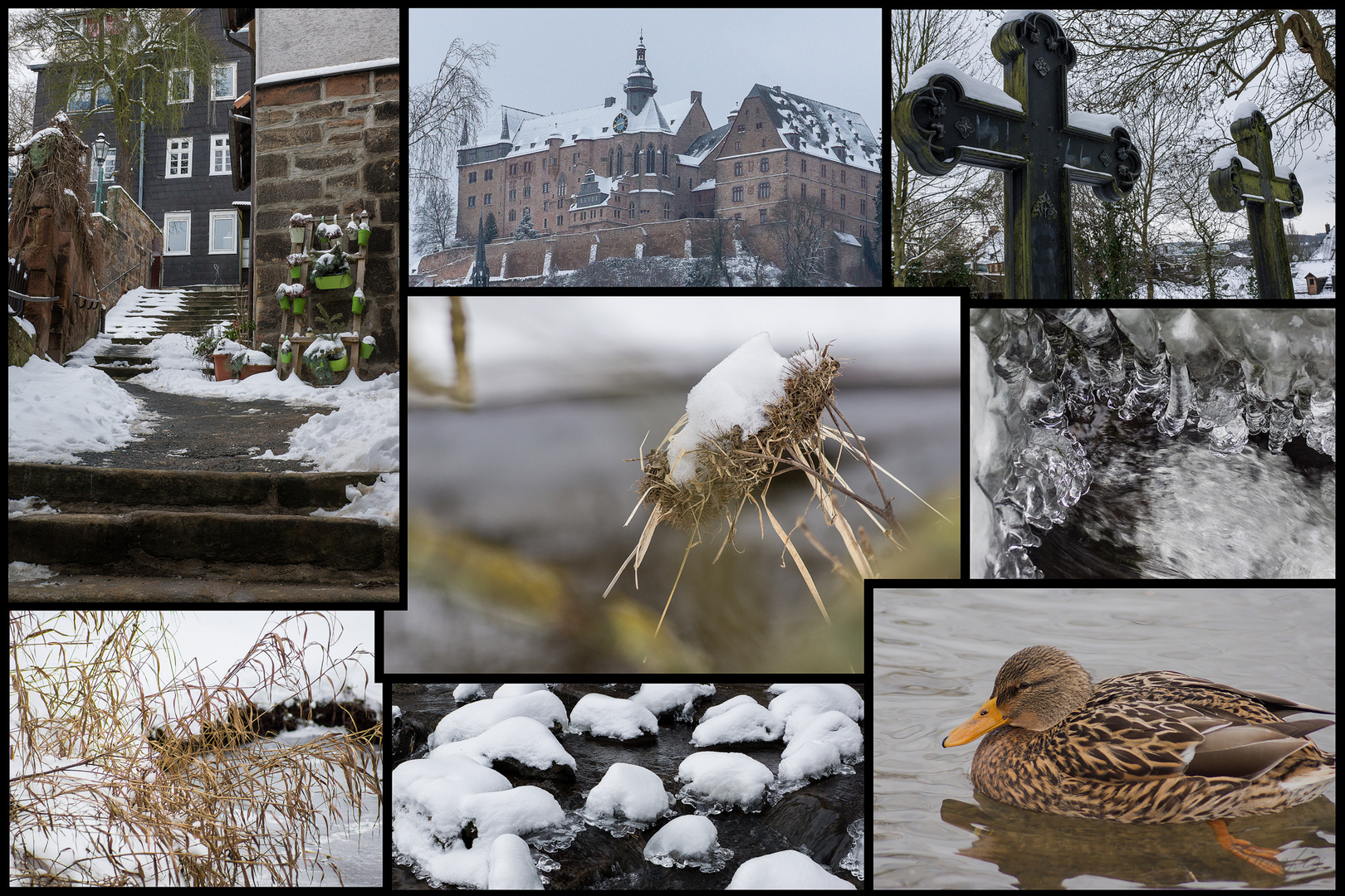 Winterspaziergang