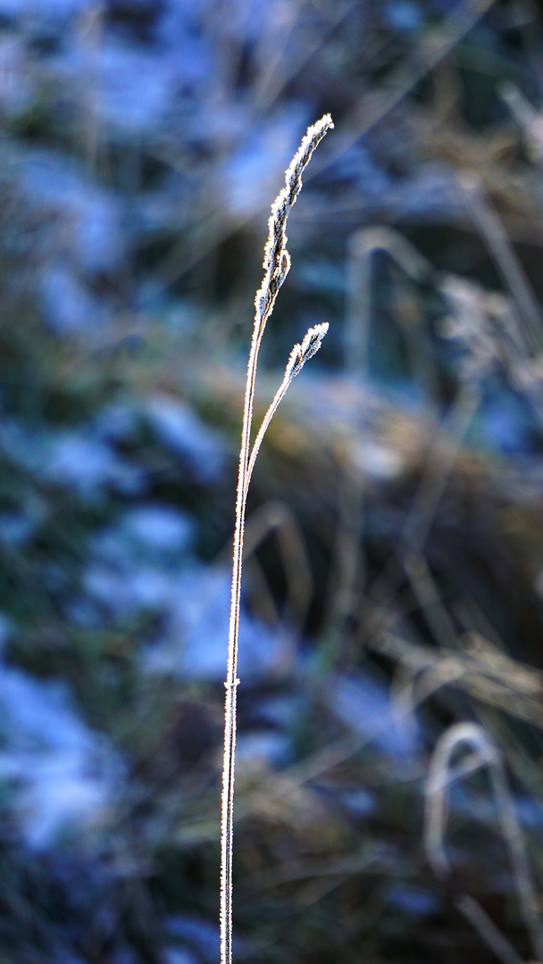 Winterspaziergang