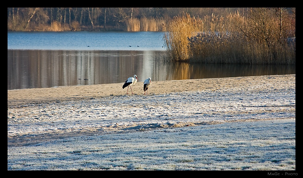 Winterspaziergang