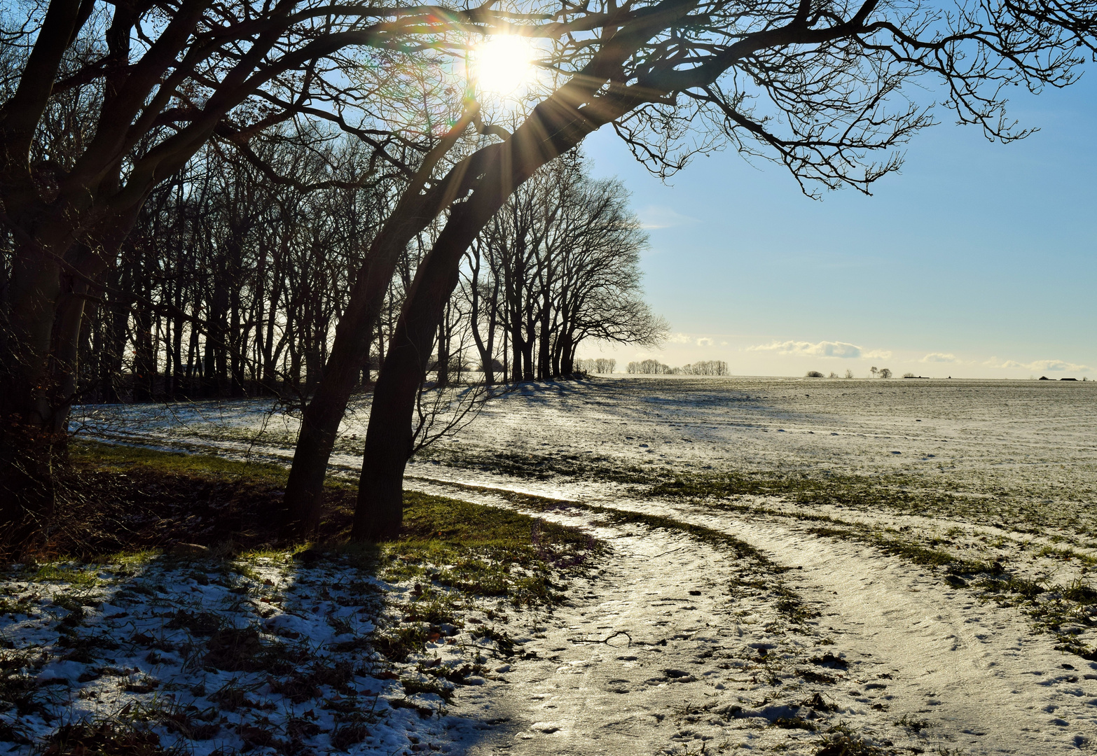 Winterspaziergang