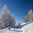 Winterspaziergang