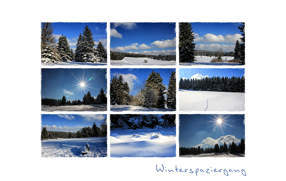 WINTERSPAZIERGANG -2-