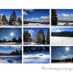 WINTERSPAZIERGANG -2-