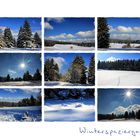 WINTERSPAZIERGANG -2-