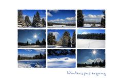 WINTERSPAZIERGANG -2-