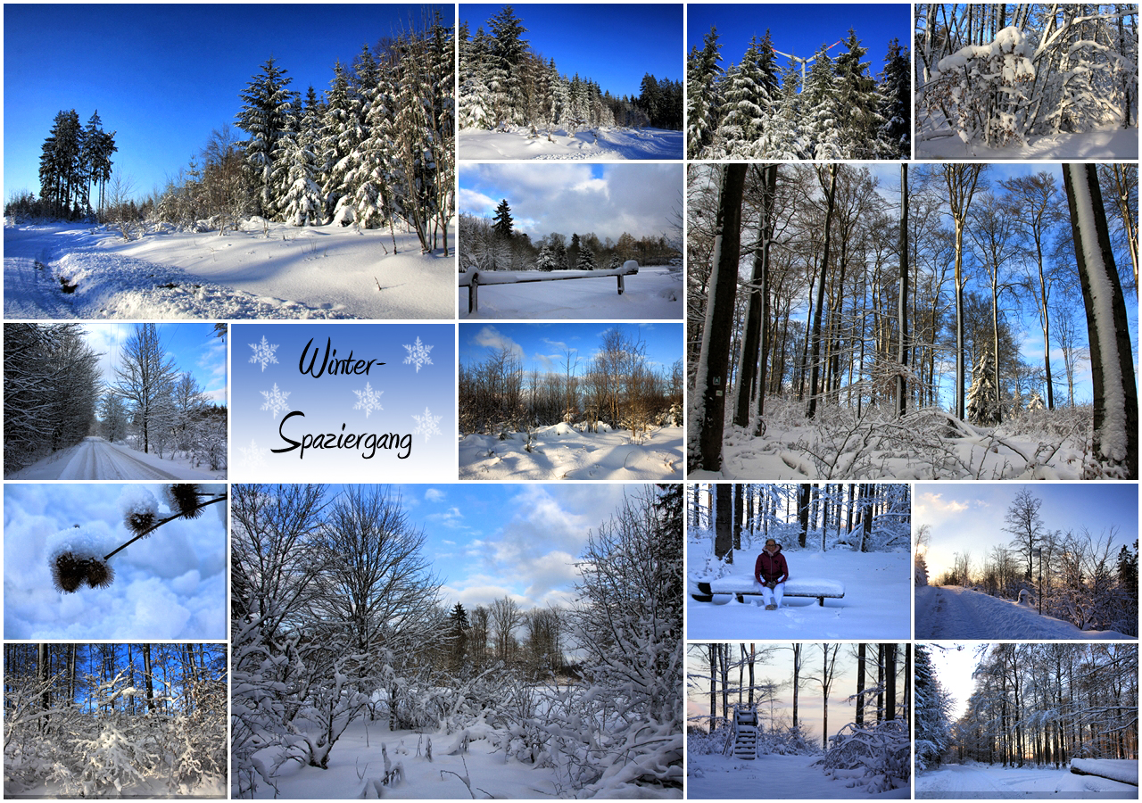 WINTERSPAZIERGANG -2-