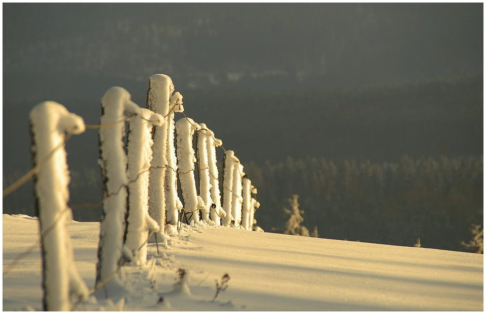 Winterspaziergang 2