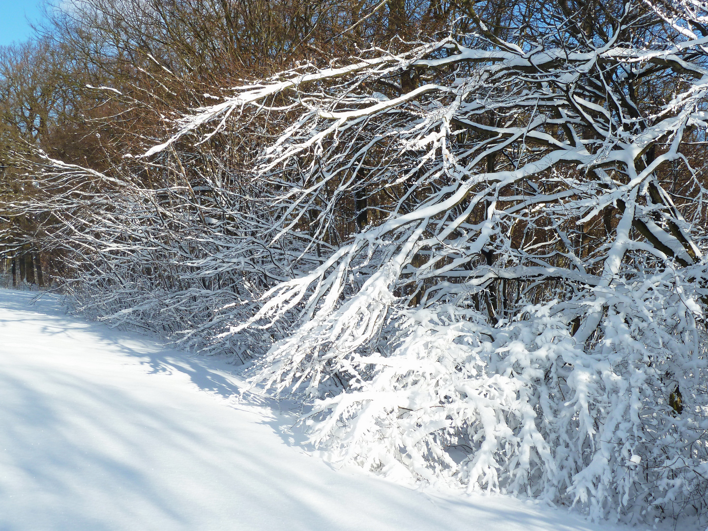 Winterspaziergang 2