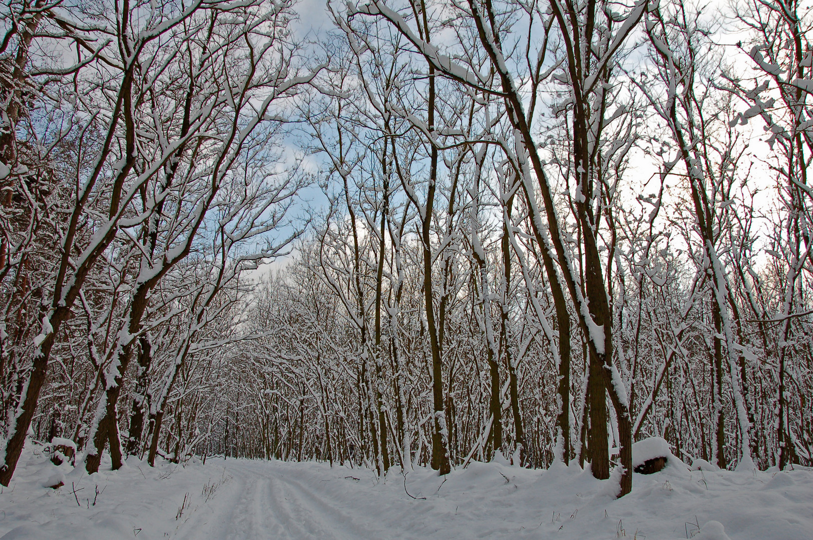 Winterspaziergang 2010 Nr.3