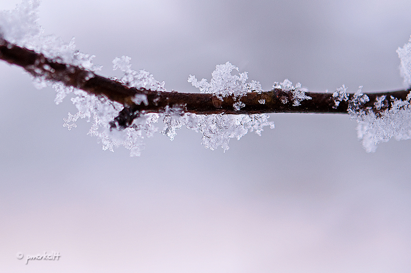 Winterspaziergang 2014.2