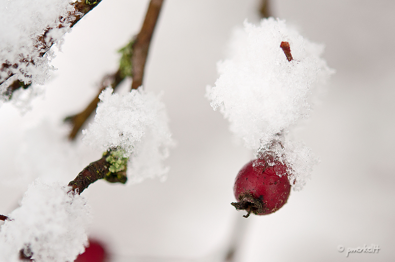 Winterspaziergang 2014.3