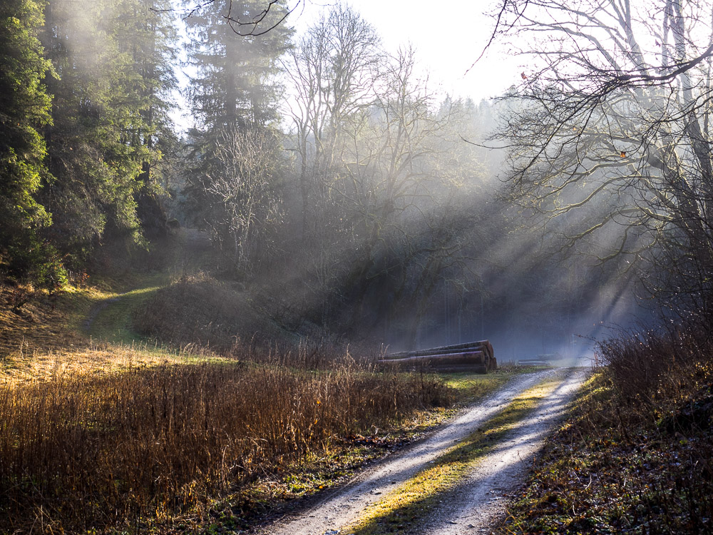 Winterspaziergang 2015