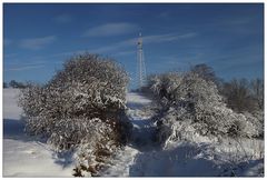 Winterspaziergang