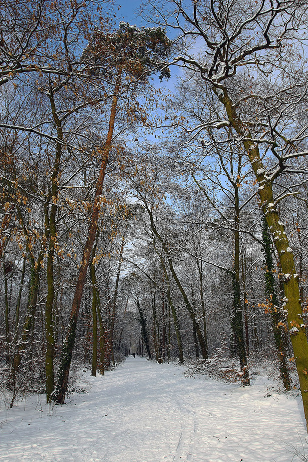 Winterspaziergang