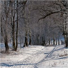 Winterspaziergang