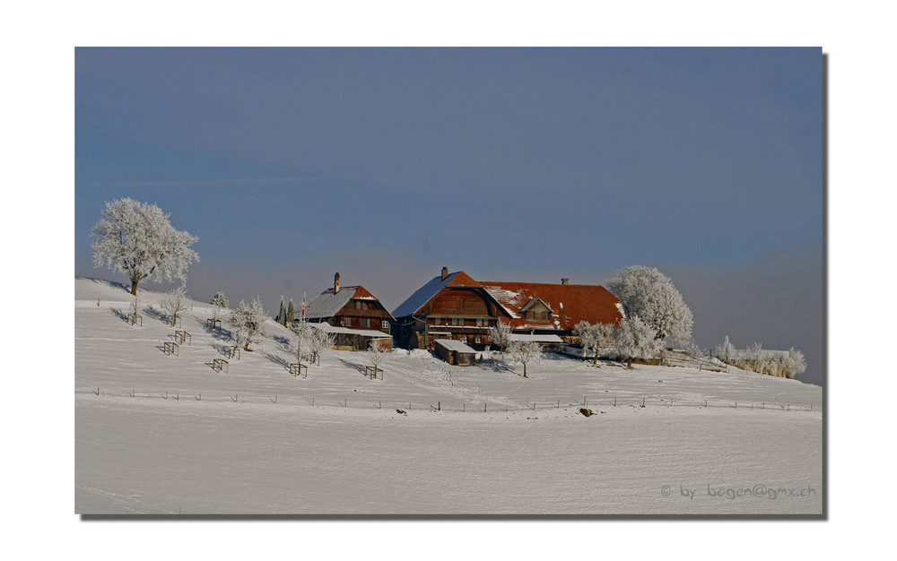 Winterspaziergang