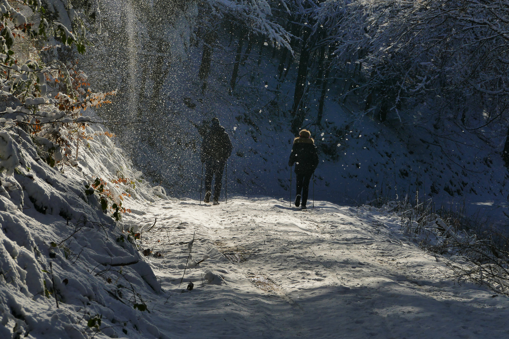 Winterspaziergang 