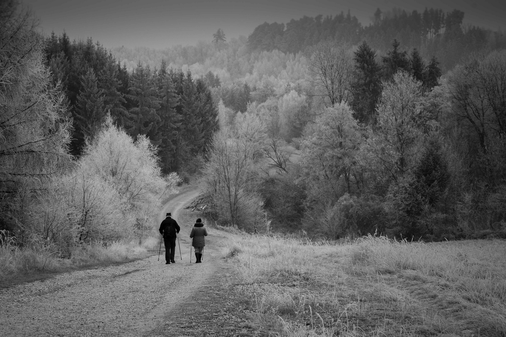 Winterspaziergang