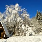 Winterspaziergang