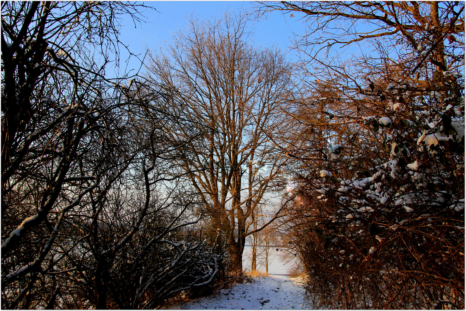 Winterspaziergang