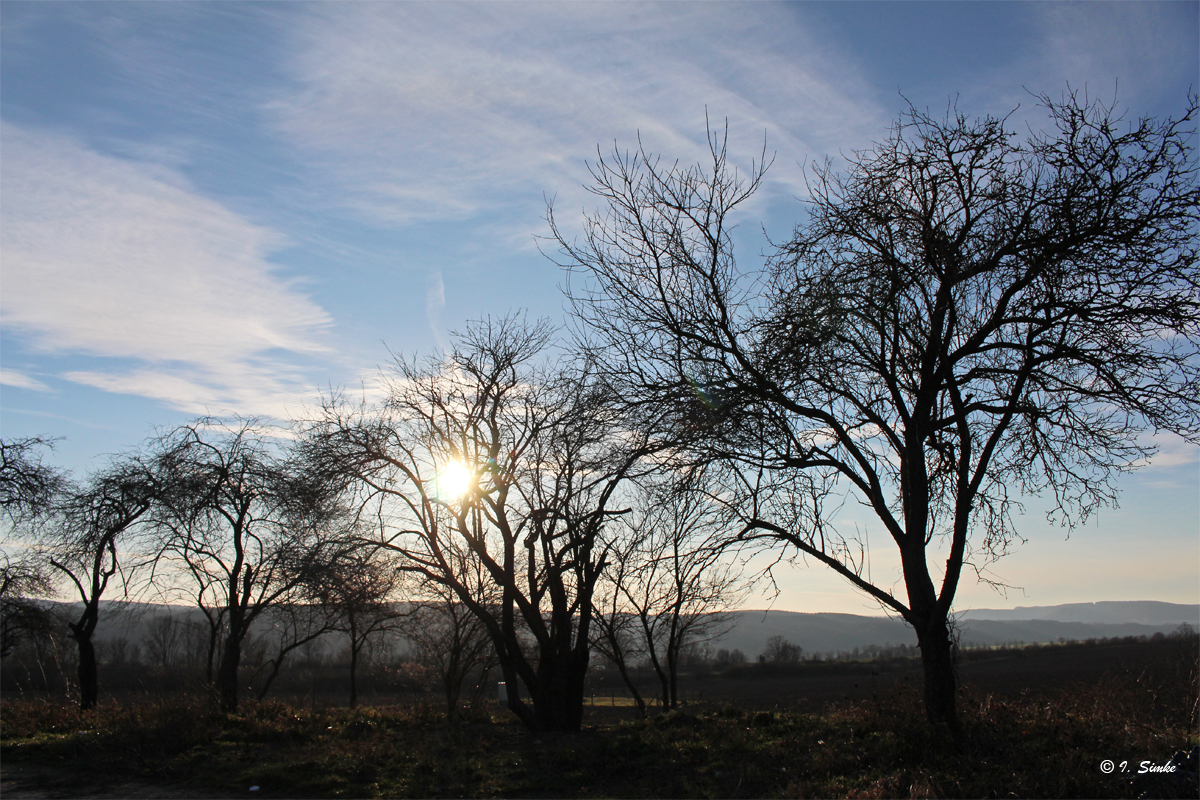 . Winterspaziergang .