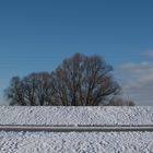 Winterspaziergang