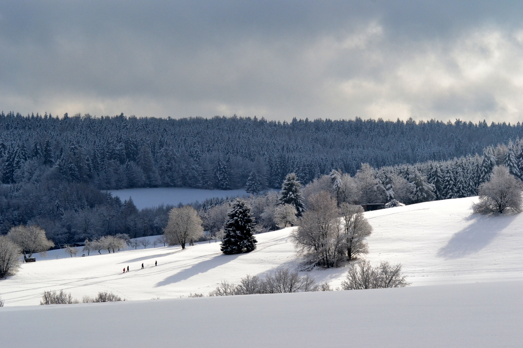 Winterspaziergang