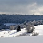 Winterspaziergang