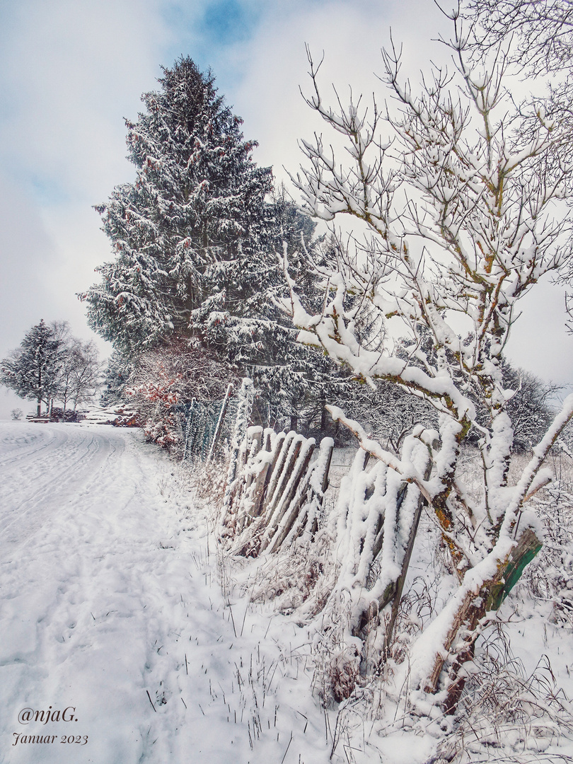 Winterspaziergang 