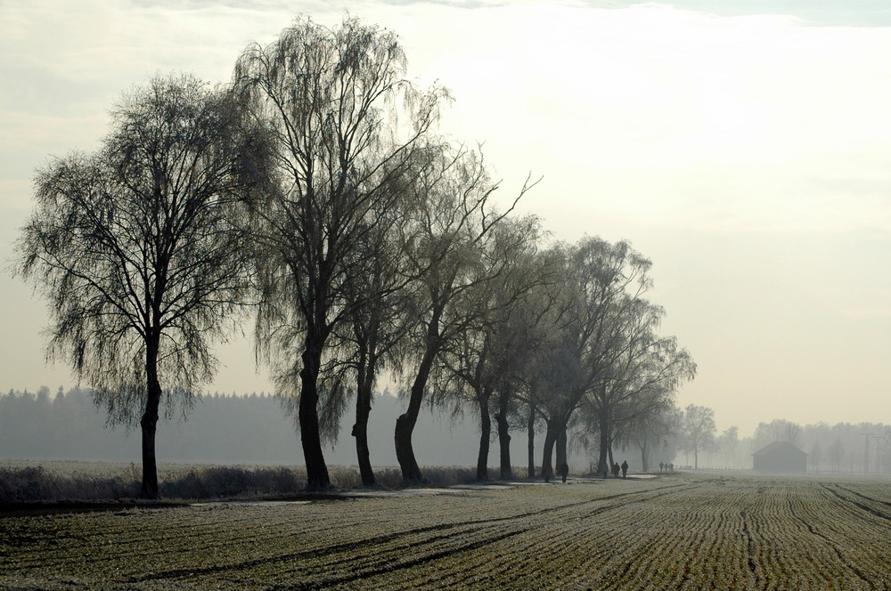 Winterspaziergang von Heidot