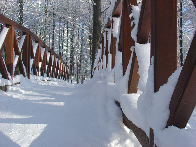 Winterspaziergang