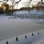 Winterspaziergang (3)