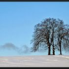 Winterspaziergang