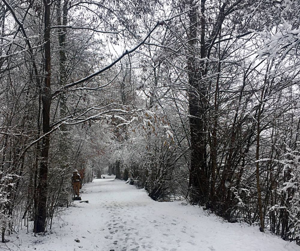 Winterspaziergang ...