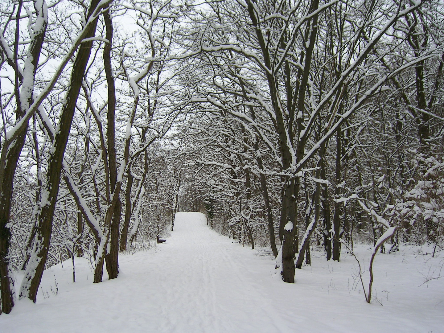 Winterspaziergang