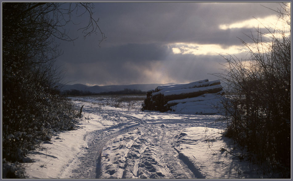 Winterspaziergang