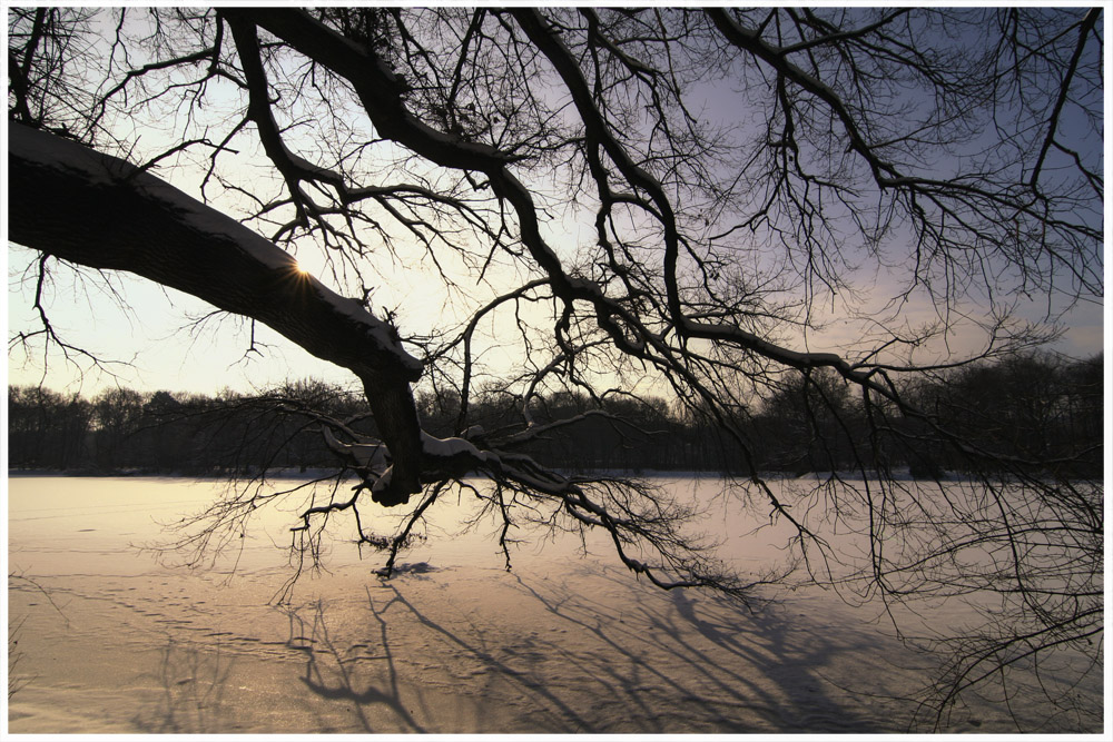 Winterspaziergang