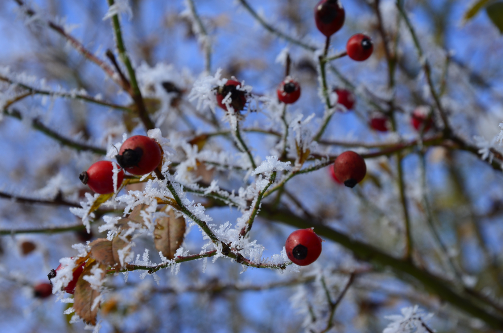 Winterspaziergang