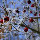 Winterspaziergang