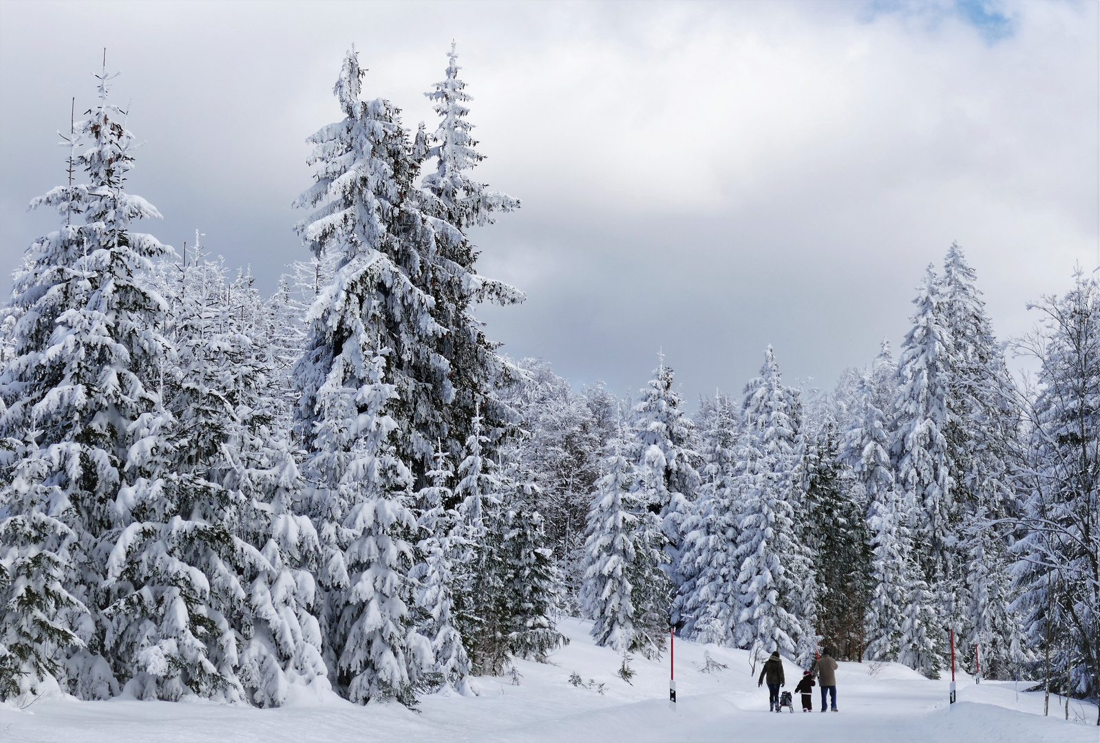 Winterspaziergang