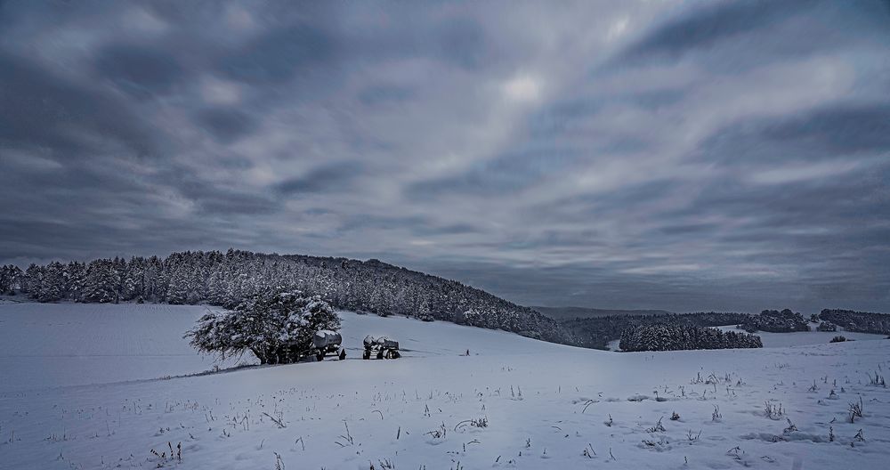 Winterspaziergang