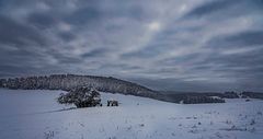 Winterspaziergang