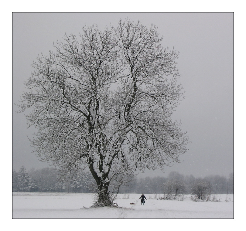 Winterspaziergang