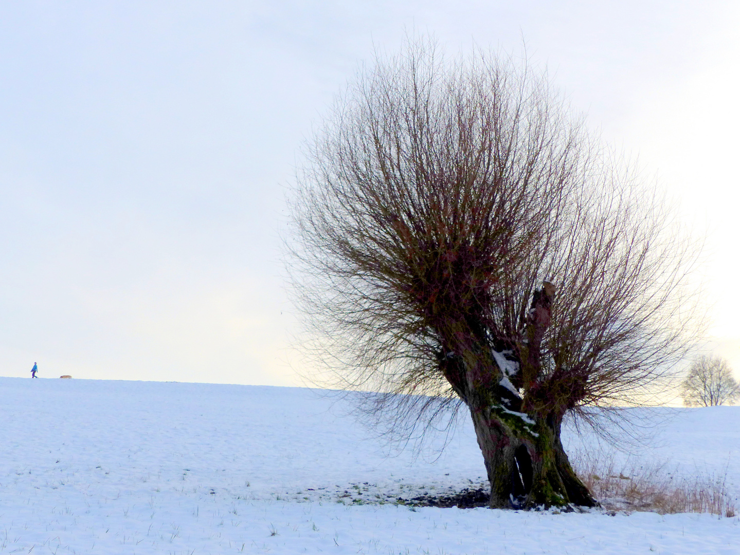 Winterspaziergang