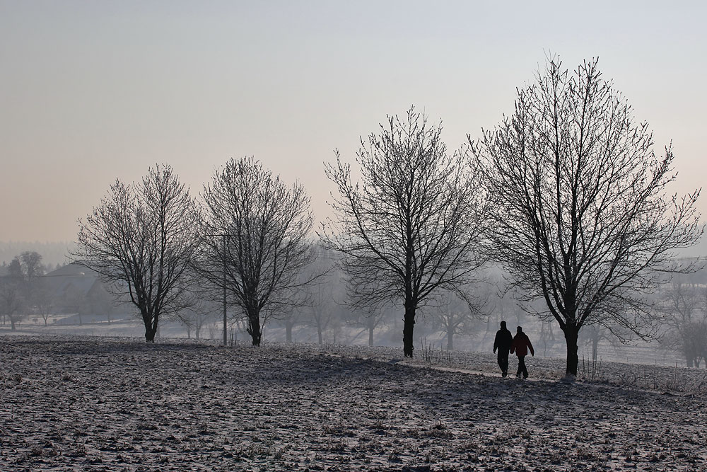 Winterspaziergang