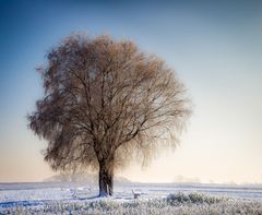 Winterspaziergang